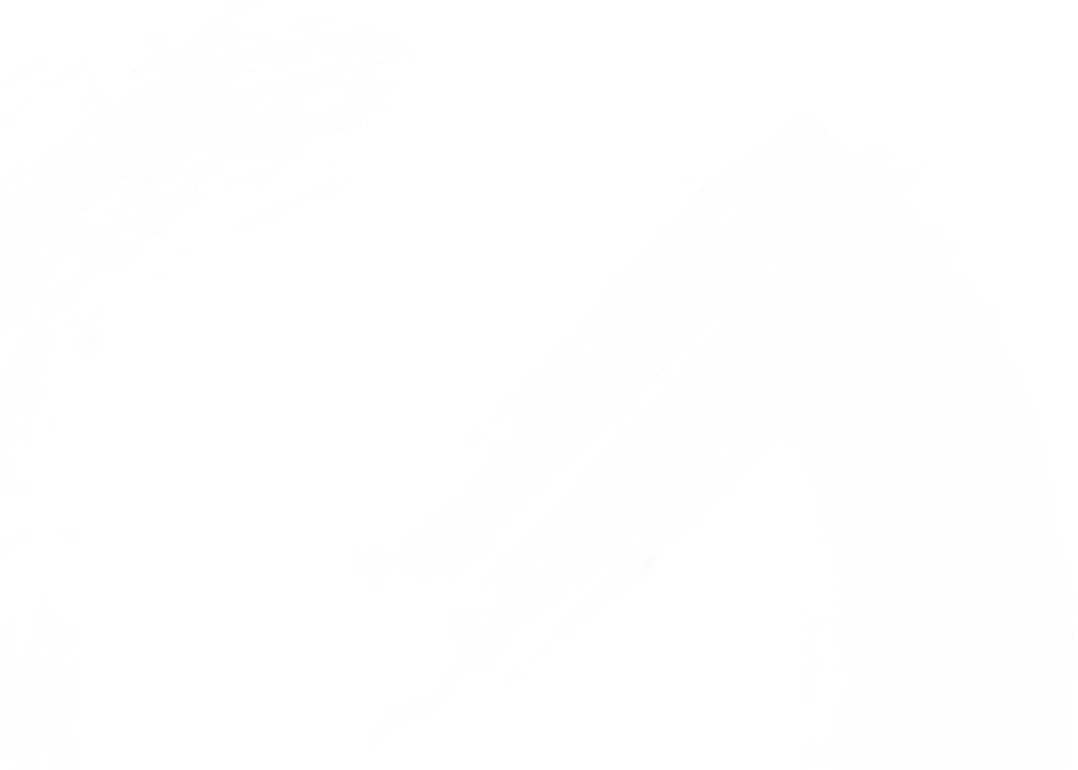 Ski Garceau